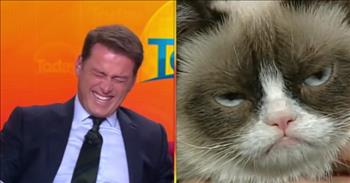 Anchor Laughs Uncontrollably During Interview: ‘Look At That Cat!’